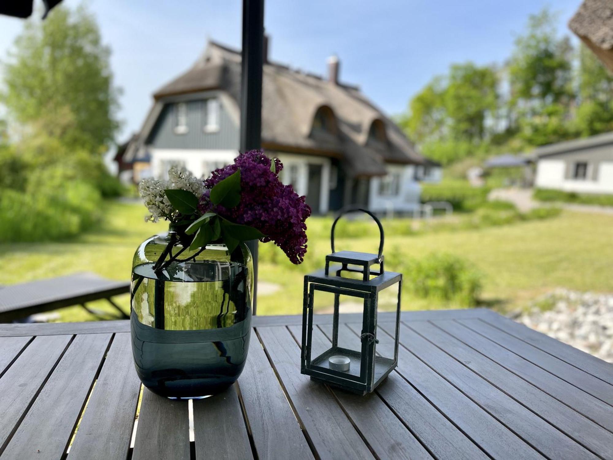 Ferienhaus Strandflieder 05 Feriendorf Klein Stresow Ruegen By Ruyastay 普特布斯 外观 照片