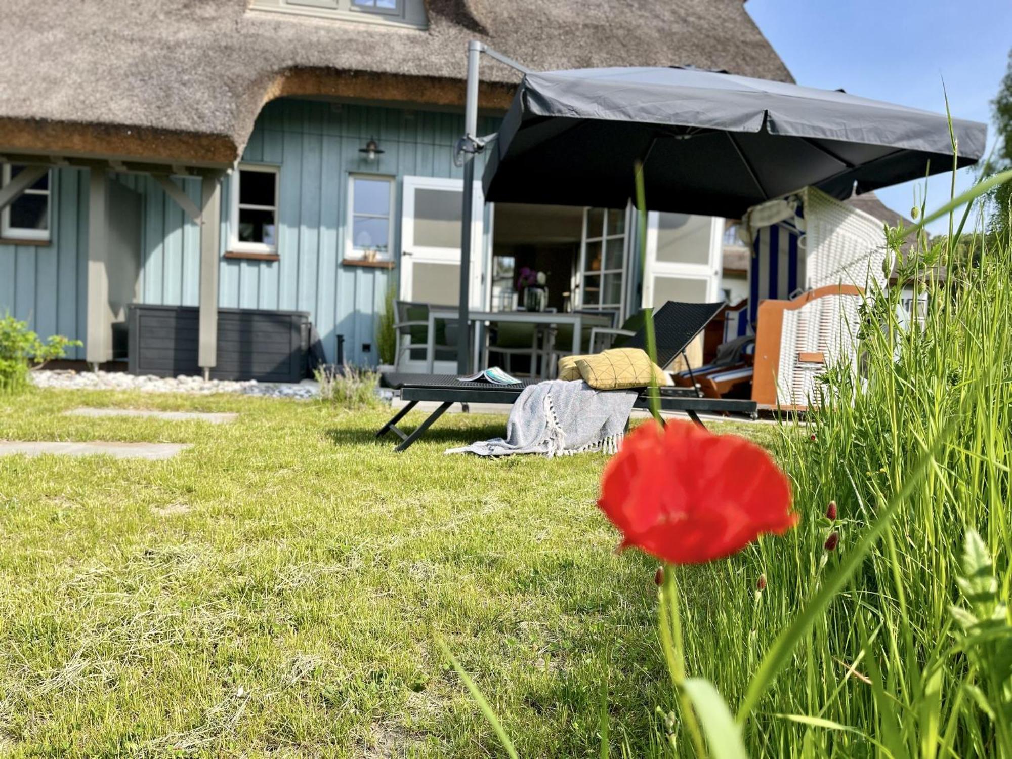 Ferienhaus Strandflieder 05 Feriendorf Klein Stresow Ruegen By Ruyastay 普特布斯 外观 照片